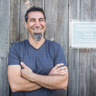 Rocker Serj Tankian from System of a Down calls NZ home, Discusses Art Exhibit in Auckland