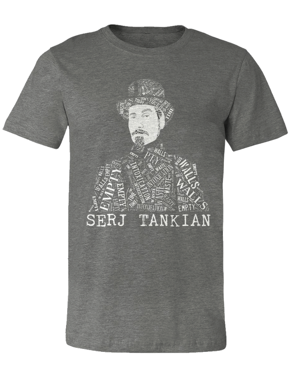 Serj Tankian Empty Walls 7インチ 45rpm レコード SERJ TANKIAN EMPTY