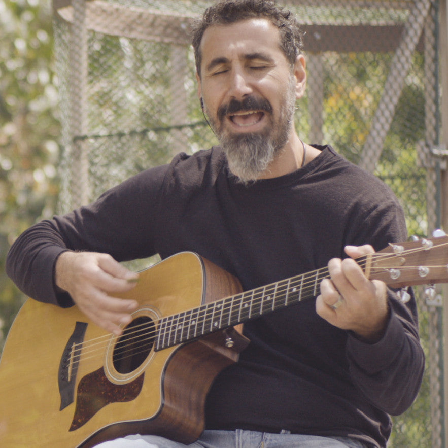 Rolling Stone Premieres The Video For Serj's New Song 'Artsakh'