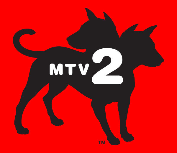 Serj Tankian Takes Over MTV2 And Talks Headbanger's Ball Memories
