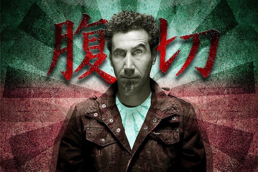 Serj's Guest Blog On Huffington Post